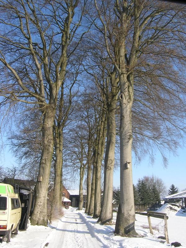 Reitstall Glashütter Damm, Foto 6