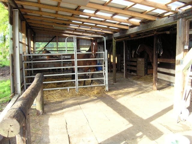 Reitstall Glashütter Damm, Foto 10