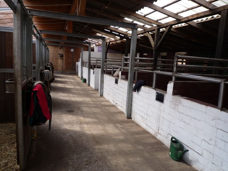 Reitstall Grüner Weg, Foto 4