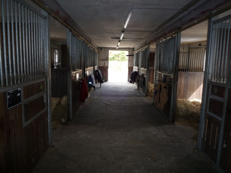 Reitstall Grüner Weg, Foto 6