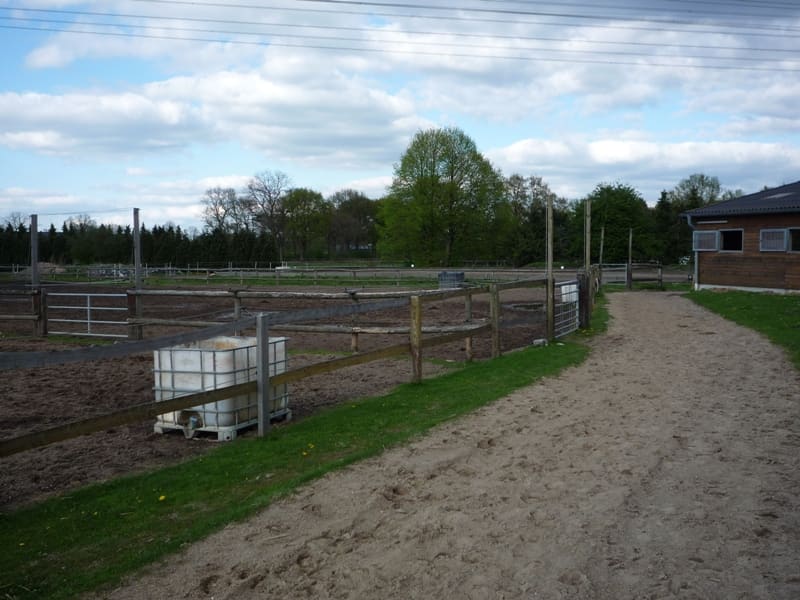 Reitstall Grüner Weg, Foto 14